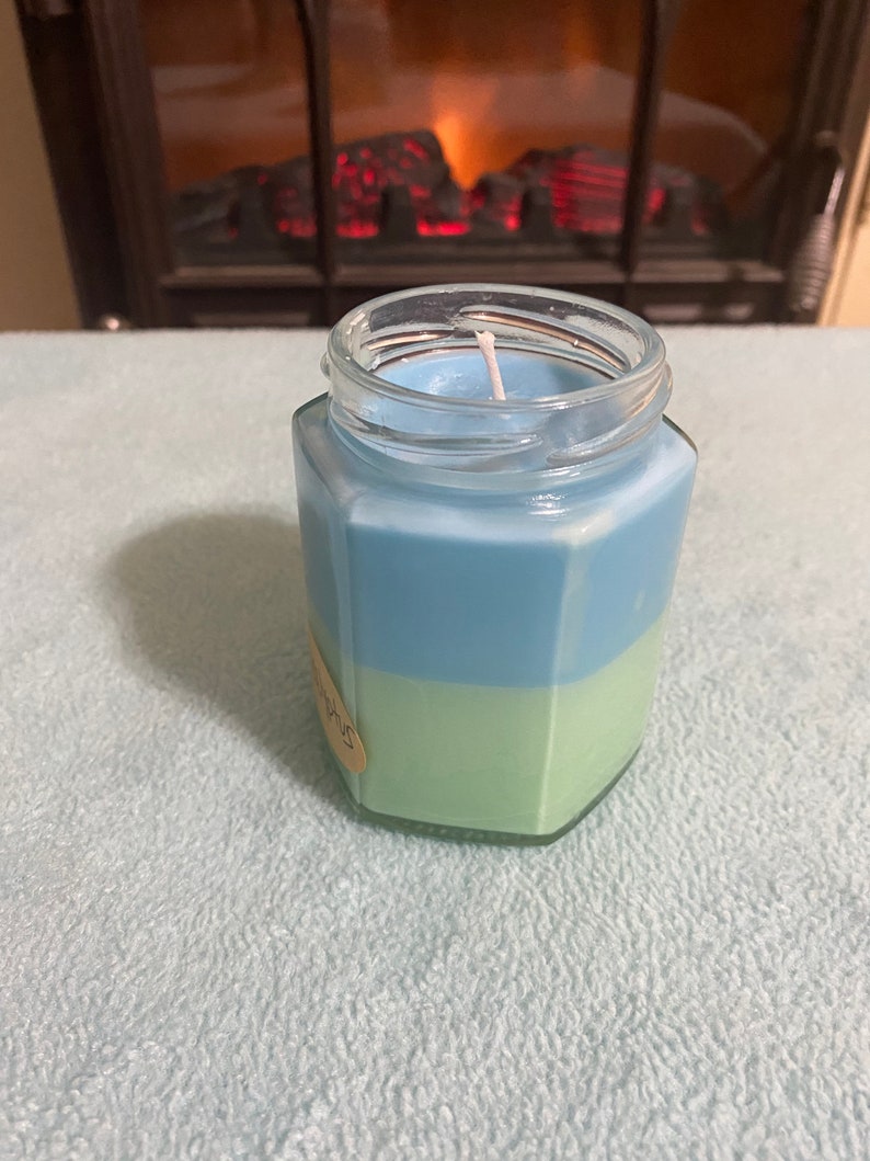 6 ounce Eucalyptus Scented Soy Candle Hand Poured Sale