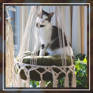 Hanging macrame catbed macrame cat bed cathammock catswing macrame catbed macrame pet furniture pethammock boho macrame catbed