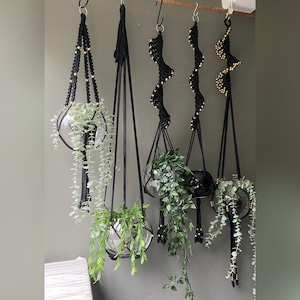 Può includere: Cinque portavasi in macramè nero con perline dorate, ognuno con un globo di vetro che contiene una pianta. I portavasi sono appesi al soffitto.