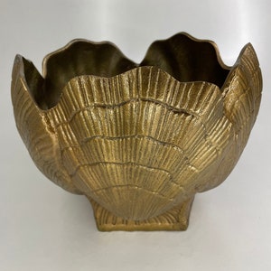 Buy Large Shell Planter Online In India -  India