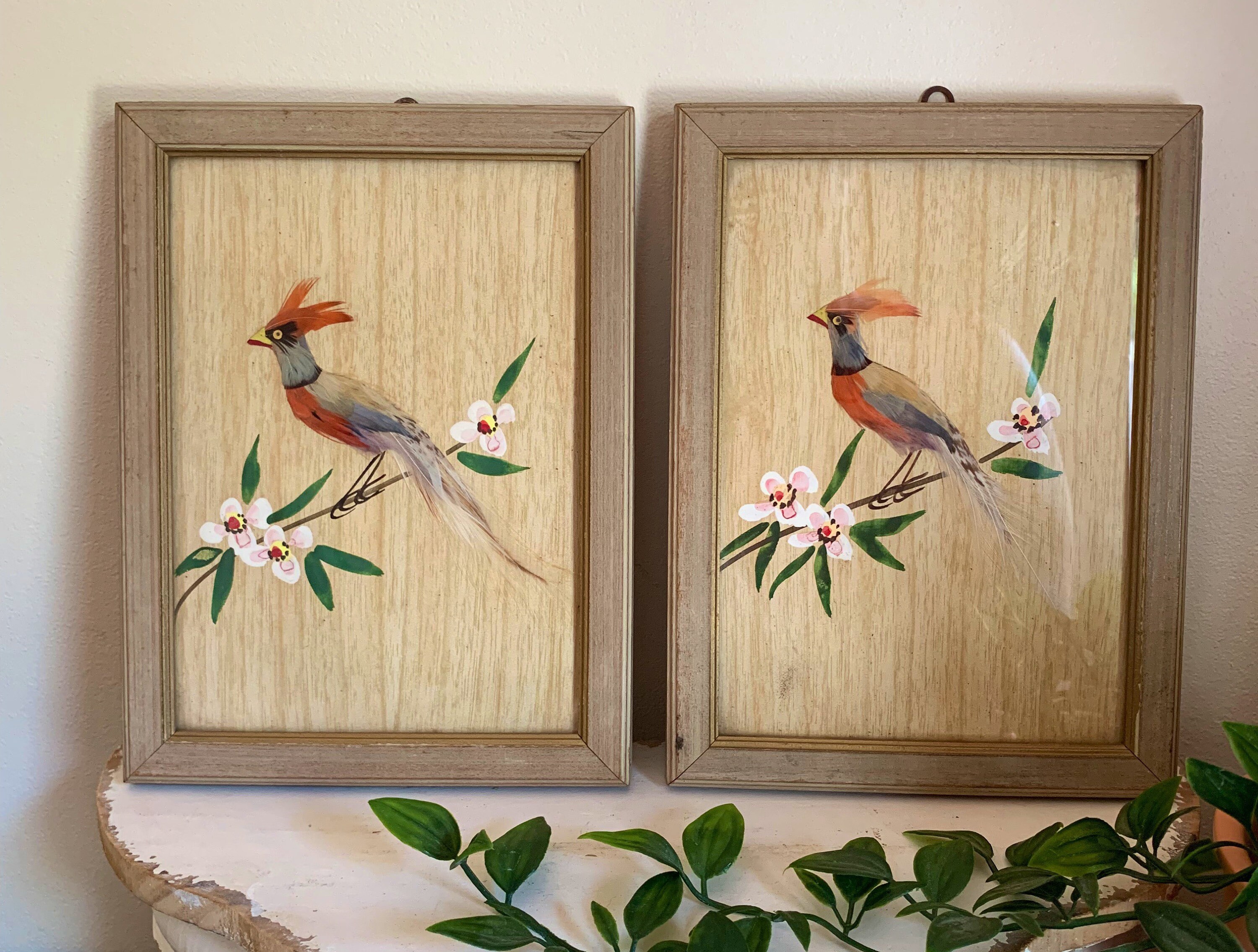 Pair Exquisite Real Feather Framed Bird Art Wall Hanging Etsy UK