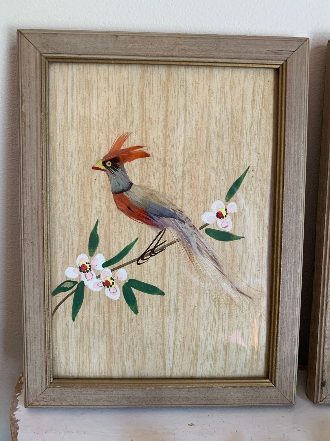 Pair Exquisite Real Feather Framed Bird Art Wall Hanging Etsy