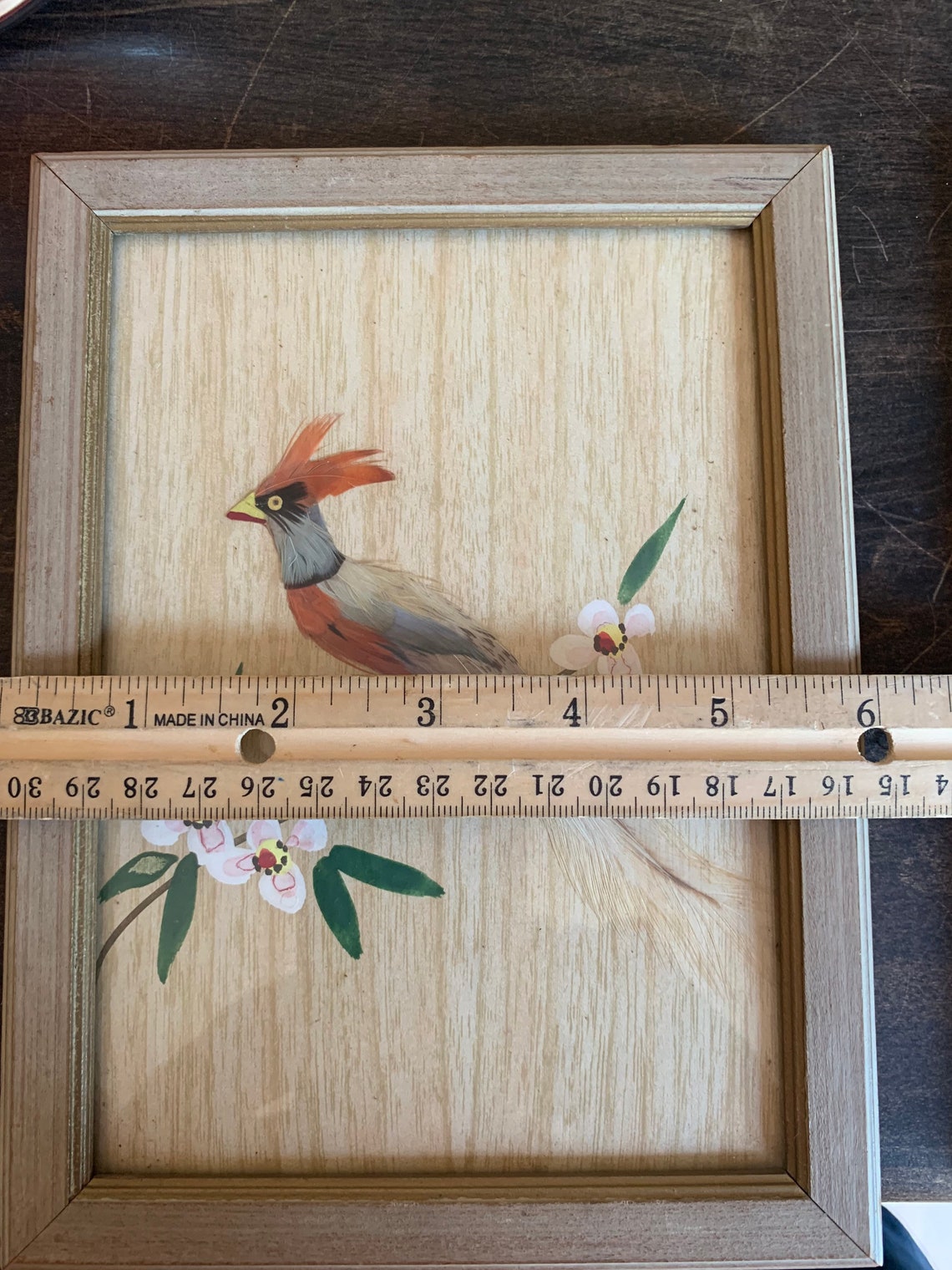 Pair Exquisite Real Feather Framed Bird Art Wall Hanging Etsy