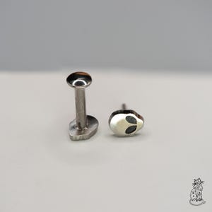 May include: Two silver-colored body jewelry pieces. One is a labret stud with a flat, oval base and a rounded top. The other is a small, skull-shaped stud with two dark eye sockets. The jewelry is set against a light gray background.