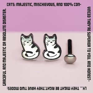 Titanium Cat Flat Back Stud Earring, Handmade Hypoallergenic Cat Earring, Titanium Push Back Stud, Implant Grade Titanium, Sold Individually