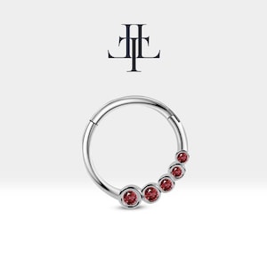 Op de afbeelding: Een zilveren naadloze ring met een rij van vijf rode edelstenen. De ring is een lichaamssieradenstuk.