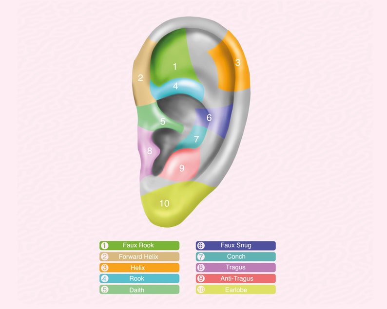 May include: Diagram of the ear with 10 labeled sections. The sections are numbered 1 through 10 and are labeled as follows: 1 Faux Rook, 2 Forward Helix, 3 Helix, 4 Rook, 5 Daith, 6 Faux Snug, 7 Conch, 8 Tragus, 9 Anti-Tragus, 10 Earlobe.