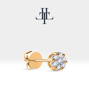 Diamond Stud Oorbellen, 14K geel massief goud, Halo Set Diamond Stud Earring, cadeau voor haar en hem, minimalistische Stud Oorbellen, vijf maten beschikbaar