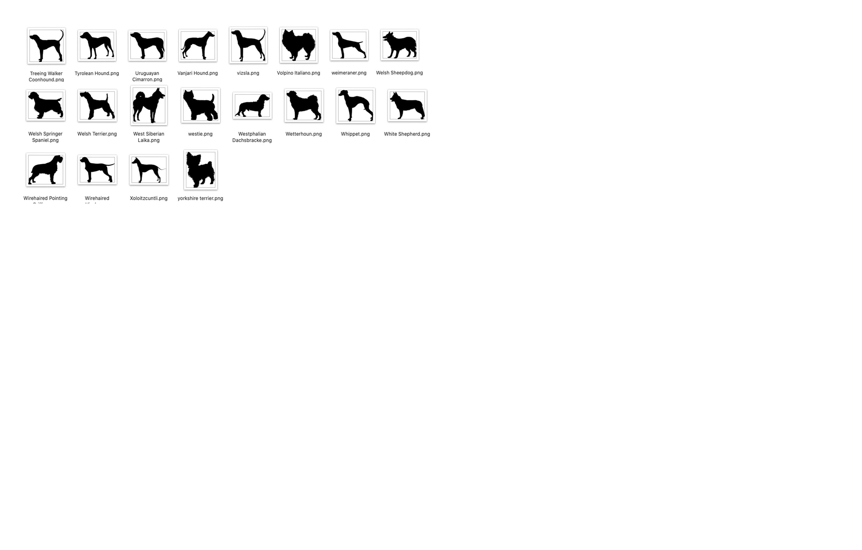 DIY Dog Ornament Kit Craft Ornament Kit Personalized Pet Etsy