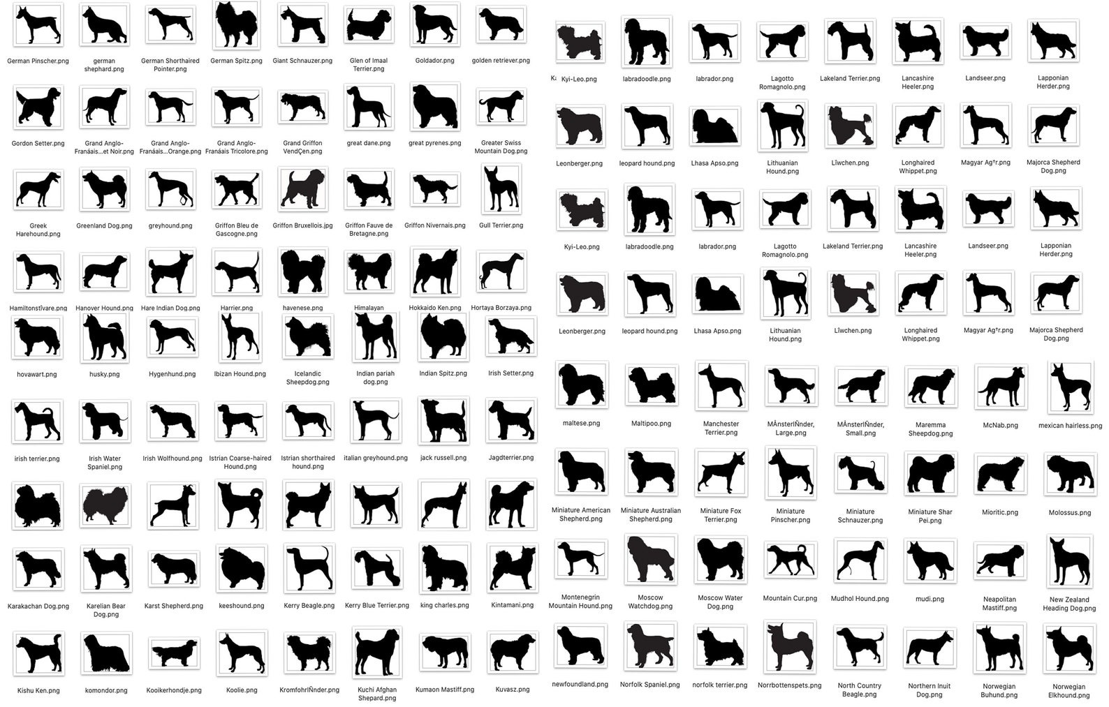 DIY Dog Ornament Kit Craft Ornament Kit Personalized Pet Etsy