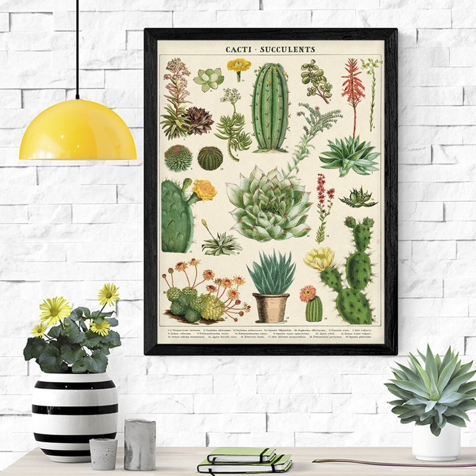 Cacti Succulents Poster Succulents Poster Plants Poster Etsy