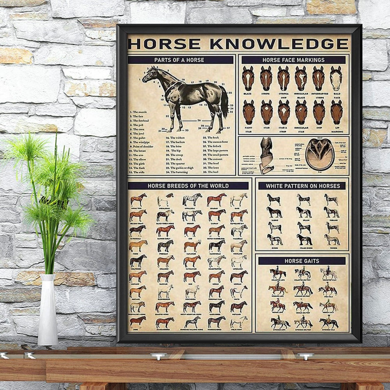 Horse Knowledge Poster Horse Knowledge Poster Horse Etsy