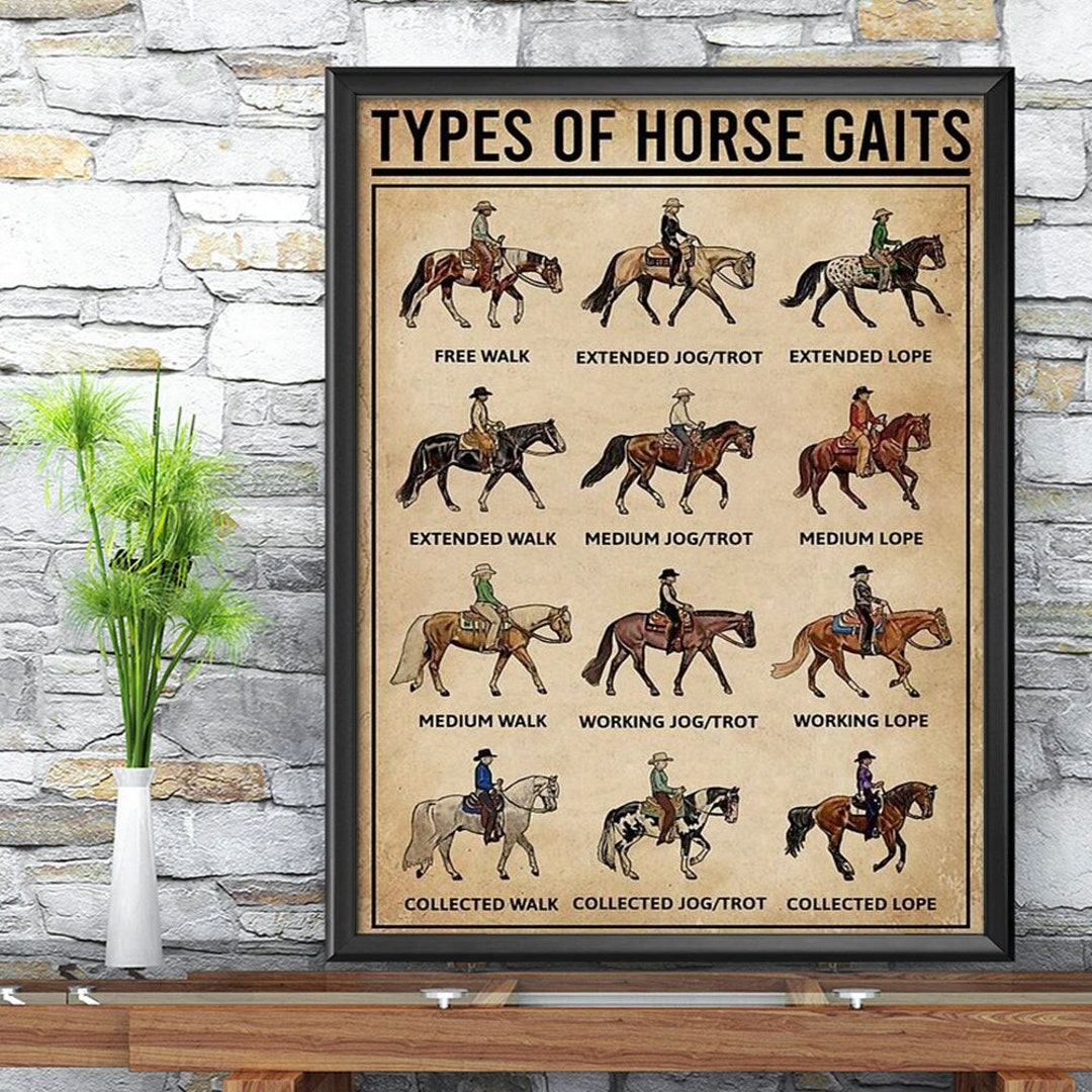 Types of Horse Gaits Poster Horse Knowledge Poster Horse Etsy