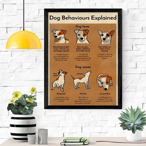 Why Is My Dog Growling At The Wall