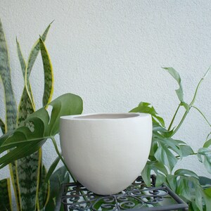 Peut inclure: Un pot en céramique blanc de forme arrondie, posé sur un support en métal noir. Le pot est entouré de plantes vertes aux feuilles longues et fines.