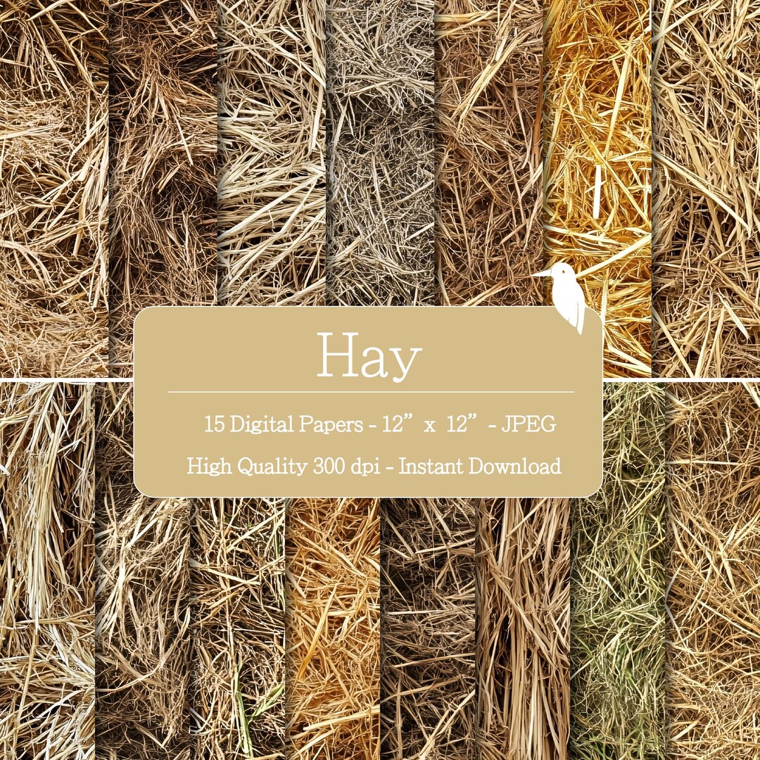 Hay Pattern Paper Hay Designs Textures Digital Papers Set for Instant Download, Digital ...