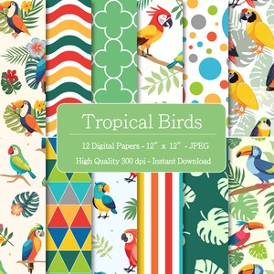 Colourful Tropical Birds Style Patterns Designs Pattern Paper for Instant Download - Scrapbooking/ Crafting paper
