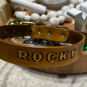 Personalized Leather Pet Collar