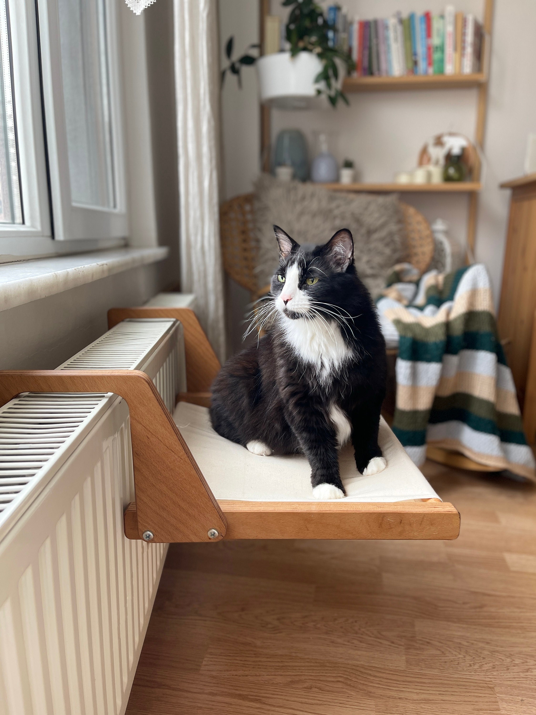 Oscar Cat/kitten Radiator Bed Radiator Pet Hammock Wooden Etsy