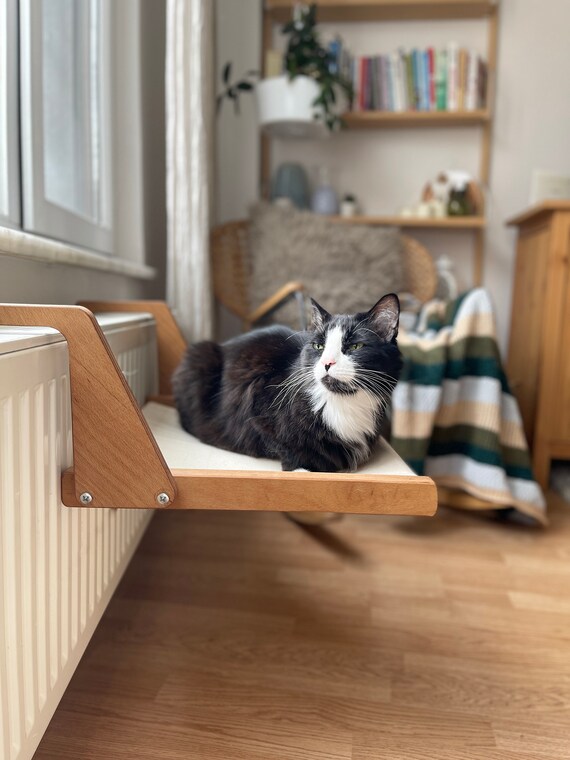 cat radiator