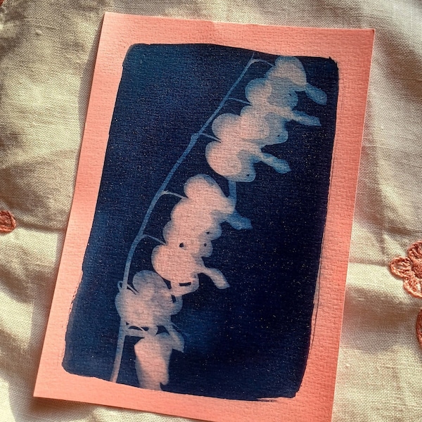 Pink Hearts Original Cyanotype Floral Sunprint Postcard - One-of-a-kind Bleeding Hearts Handmade Print for Gardeners and Flower Lovers