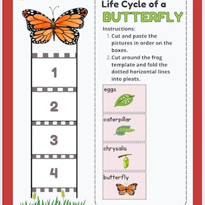Life Cycle of a Butterfly Printable | Cut and Paste Science Worksheet | Insect Life Cycle for Pre -K and K | Homeschool Science Activity