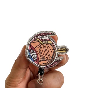 May include: A clear plastic badge holder with a glitter border. The holder features a detailed anatomical illustration of a human eye with labelled parts, including the cornea, iris, lens, vitreous body, retina, choroid, sclera, and ciliary muscle.