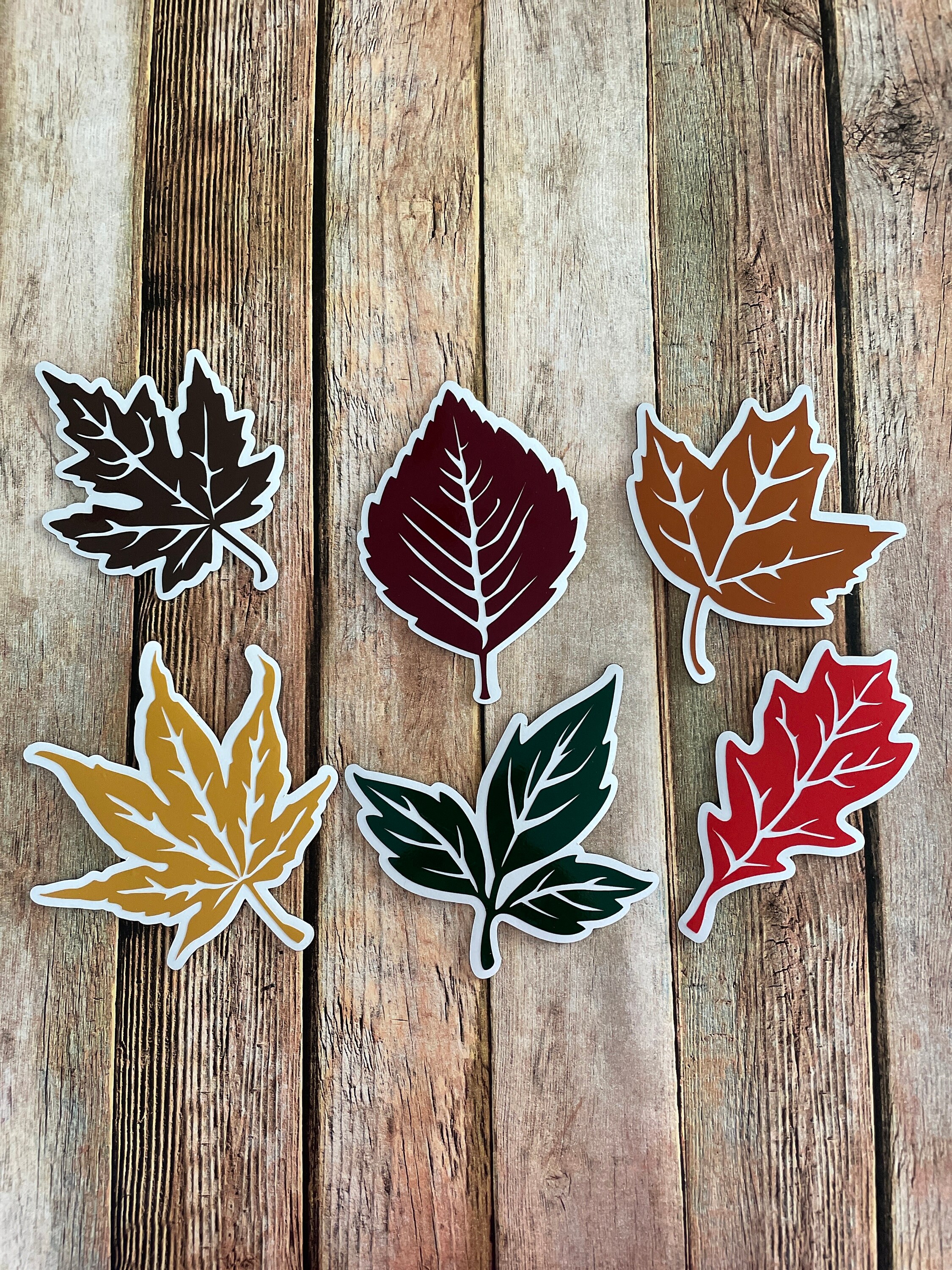 Autumn Leaf Magnets: Fall Decor, Set of 6 - Etsy