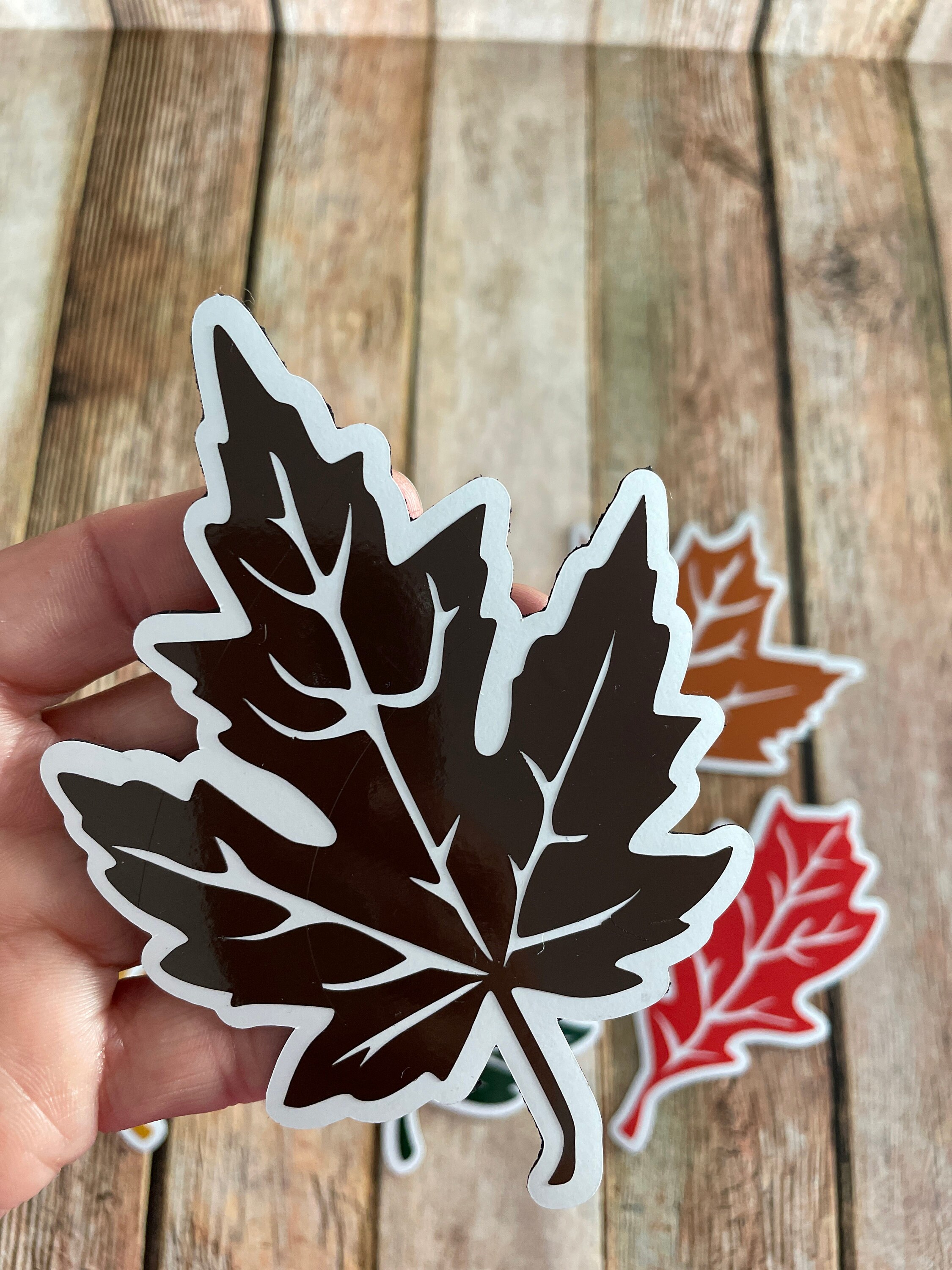 Autumn Leaf Magnets: Fall Decor, Set of 6 - Etsy