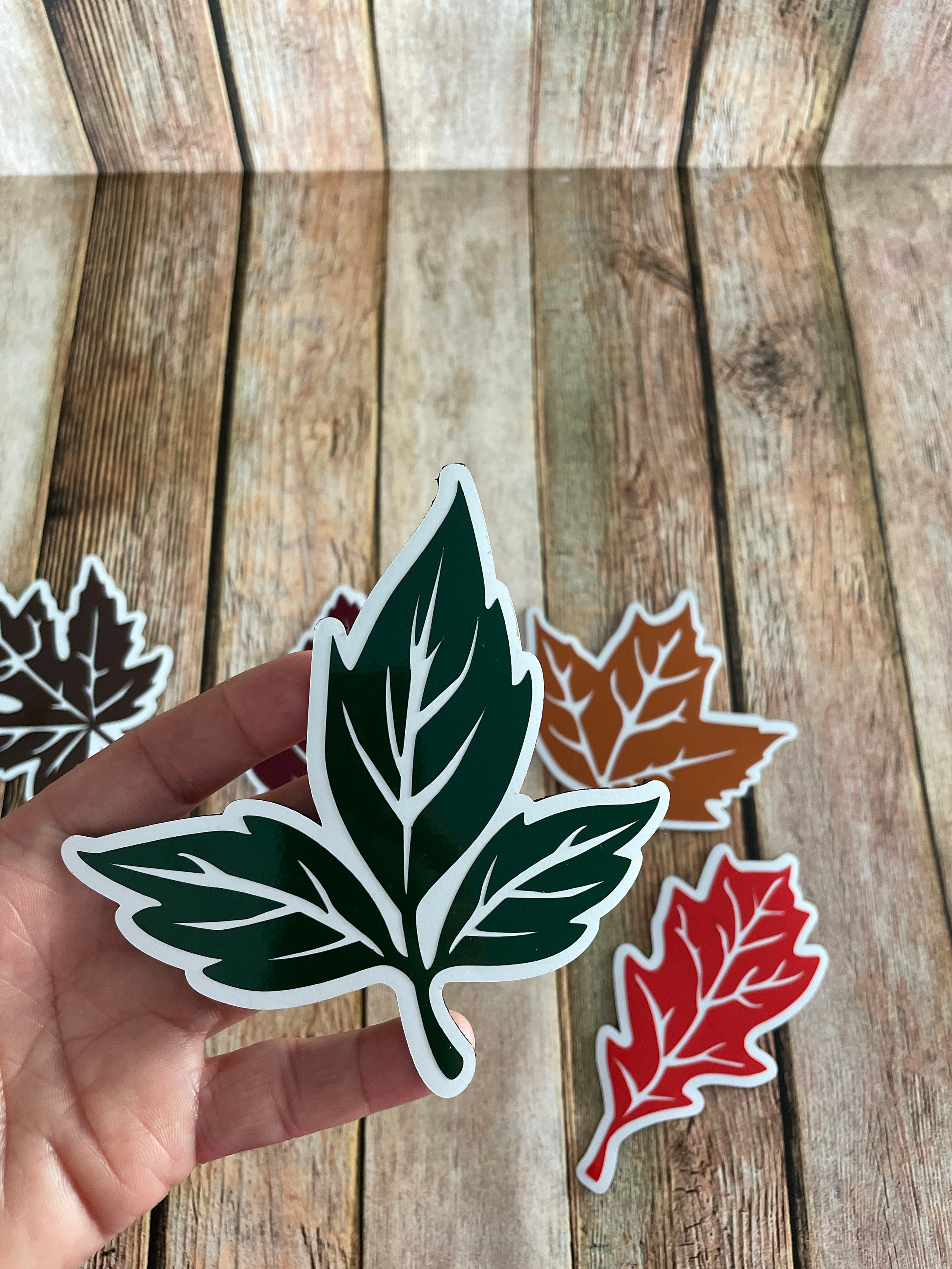 Fall Leaf 1″ Round Glass Magnets (Set of 6)