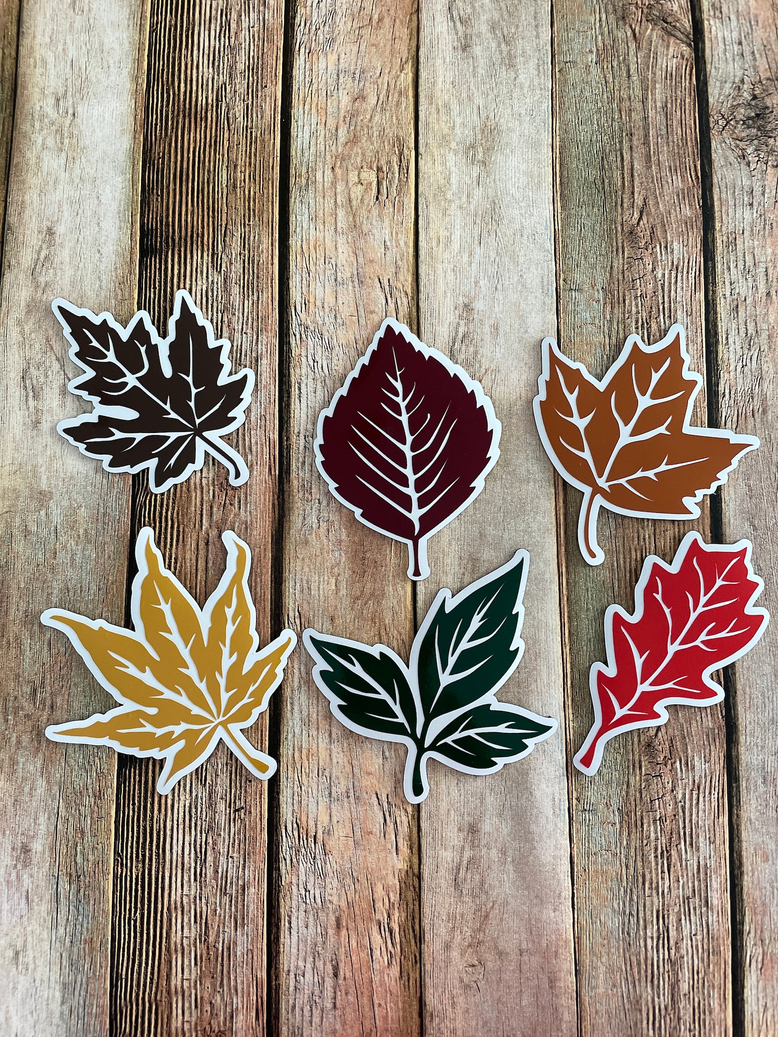 Autumn Leaf Magnets: Fall Decor, Set of 6 - Etsy