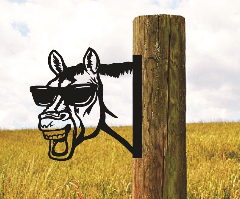 Peeking Horse Funny Animals Outdoor Metal Sign Peek A Boo Etsy