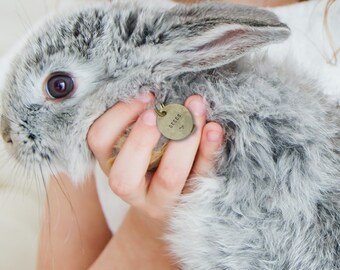 Hase Kaninchen Hund Katze ID Namensschild, Katzenmarke klein, Münzmarke für Hunde, Hundemarke klein, Hundemarke für Hunde oder Katze, personalisiert, Haustiermarke