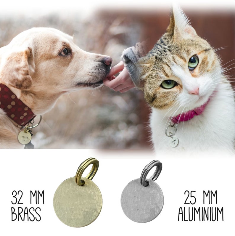 Hand Stamped Dog ID Tag, Custom Dog Collar Tag, Dog Tag for Dogs or Cat, Personalized, Pet ID Tag, Dog Name Tag Pet Tag, Kitten Cat ID Charm image 5