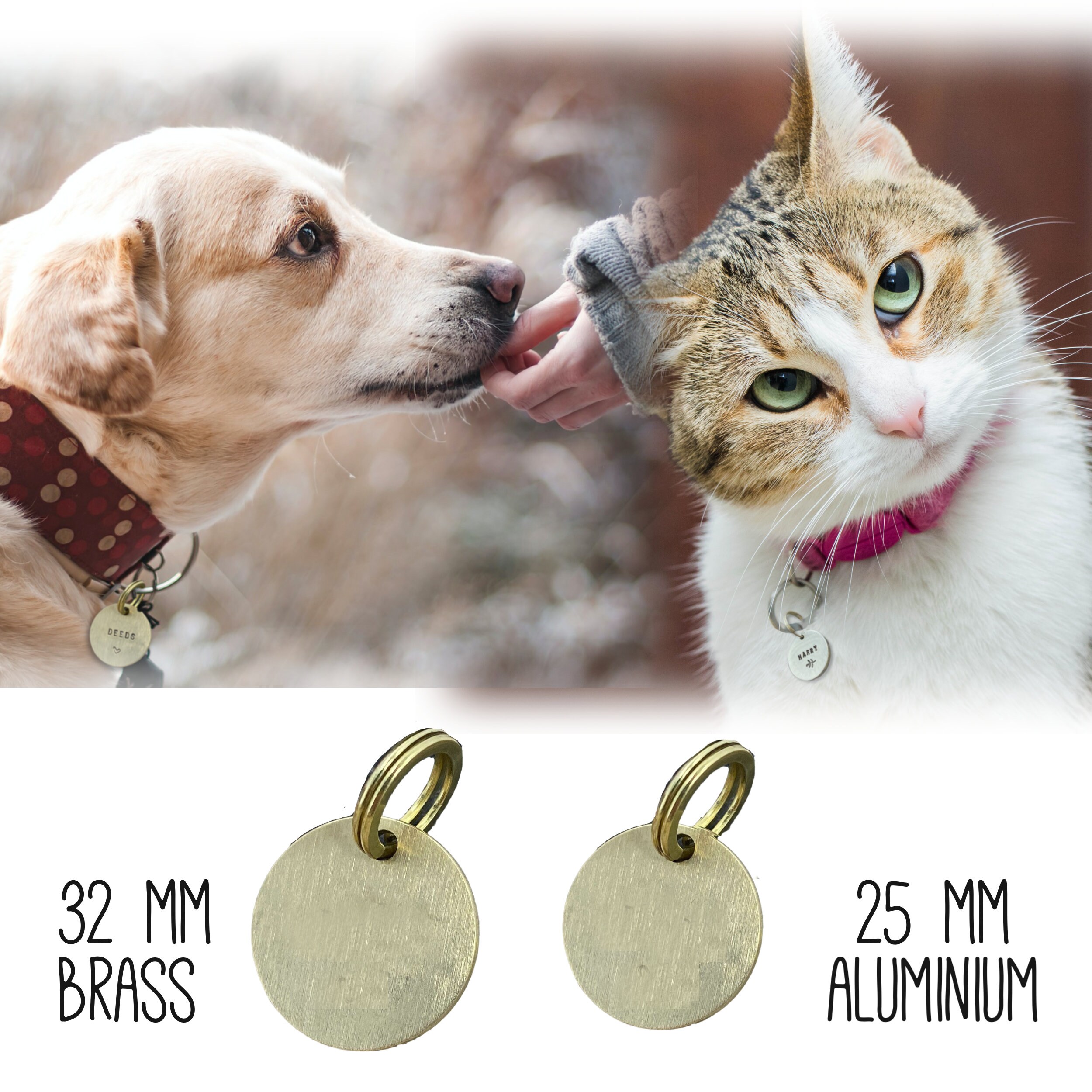 Raspberry Dog Tag Personalized Dog ID Name Tag With Crystal, Bling Tag, Cat Tag Small ...