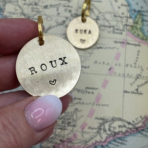 Targhetta identificativa per cani minimalista personalizzata, regalo per nuovo cucciolo, nuova carta per cani, nuovo animale domestico, targhetta identificativa, targhetta personalizzata per cane/gatto, targhetta in alluminio stampata a mano