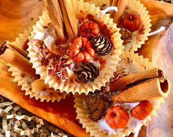 Fall Fire Starters - Pumpkin Scented Soy Wax Campfire Starters - Camping Supplies - Outdoor Gifts - Eco Friendly - Natural Fall Fire Pit