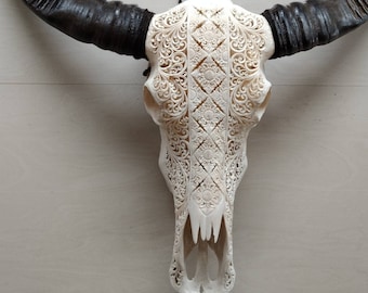 Carve buffalo skull carving huge long horn floral batik white