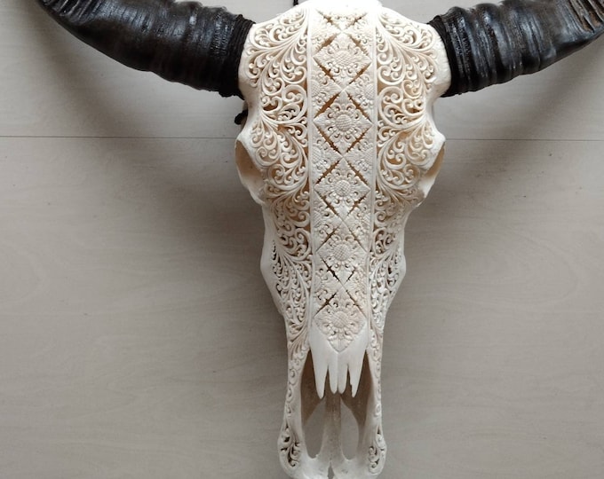 Carve buffalo skull carving huge long horn floral batik white
