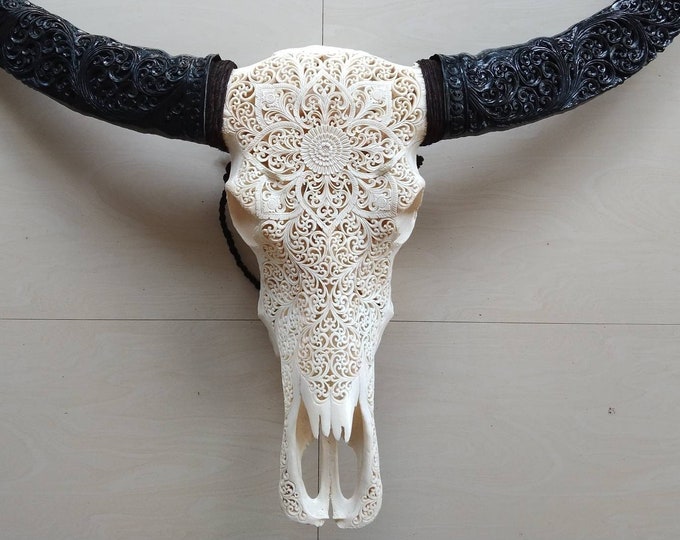 carved buffalo skull with long carved horn