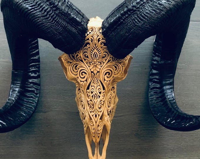 Hand-Carved Ram Skull – Authentic Natural Horns with Intricate Balinese Design
