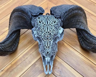 Hand Carved Ram Skull with Horns – Gothic Boho Home Decor – Real Bone Art