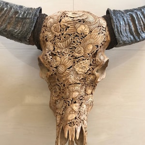 Carved buffalo skull Japanese art of fish