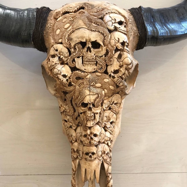 Cráneo de búfalo tallado con cuerno largo de pulpo