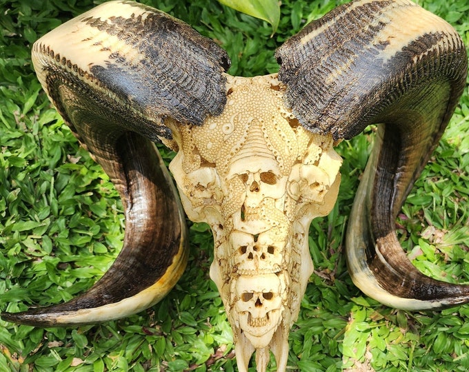 carve ram skull carving octopus