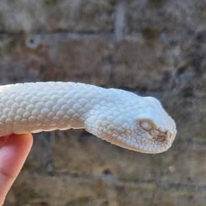Mango de asta de serpiente tallado a mano: arte funcional con carácter