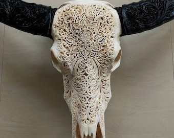 carve buffalo skull mandala full horn carving