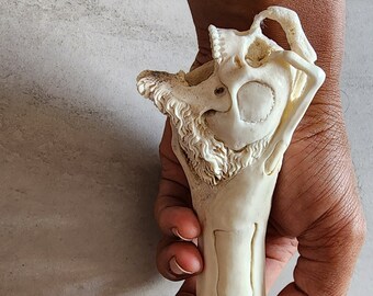 Deer antler carving hand hold skull