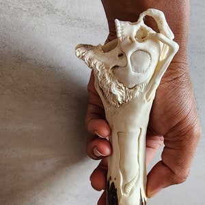 Deer antler carving hand hold skull