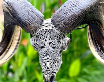 Hand Carved Ram Skull with Tree of Life – Tribal Wall Art Sculpture